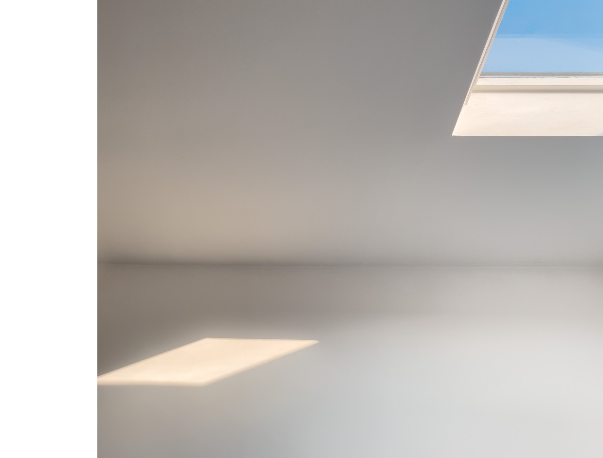 SKYLIGHT WITH SHORTENED PIC